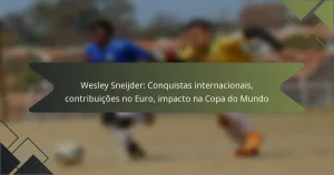 Wesley Sneijder: Conquistas internacionais, contribuições no Euro, impacto na Copa do Mundo